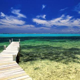 Kingston Jamaica wallpaper