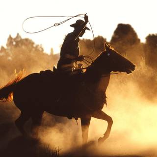 Trick riding wallpaper