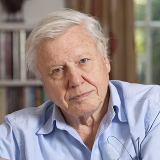 The Facts of Life TV show wallpaper