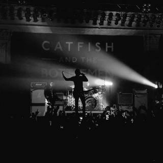 Catfish And The Bottlemen wallpaper