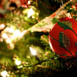 Christmas cedar wallpaper