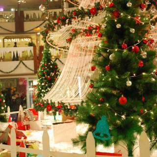 Christmas celebrate wallpaper