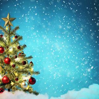 Christmas trees wallpaper