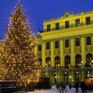 Christmas trees wallpaper