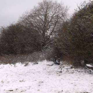 Christmas cold wallpaper