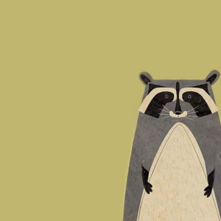 Raccoons wallpaper