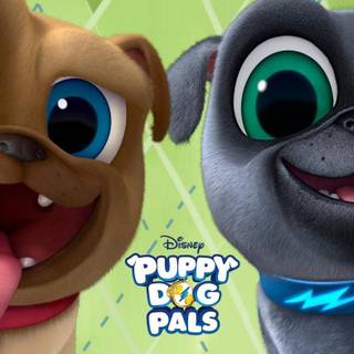 Puppy Dog Pals wallpaper