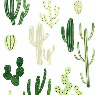 Cute cactus wallpaper