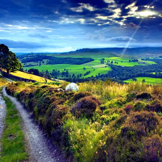 English countryside wallpaper