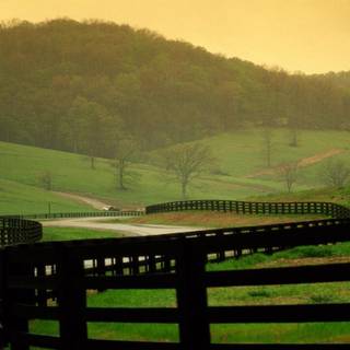 English countryside wallpaper