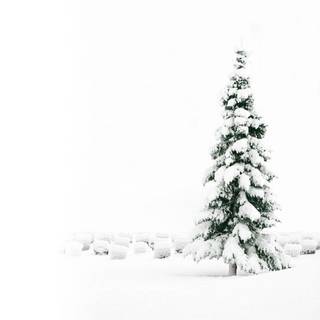 White Christmas wallpaper