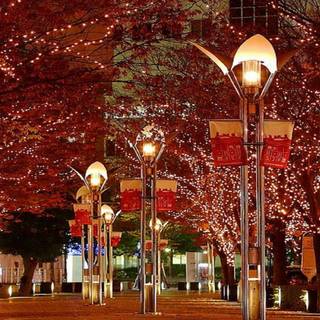 Christmas lights HD wallpaper