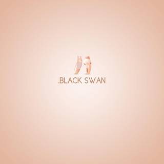 Pointe shoes wallpaper