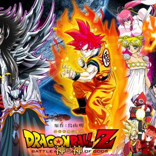 Gods of Dragon Ball wallpaper