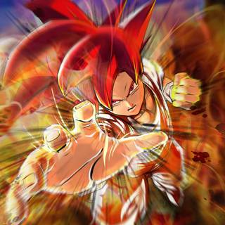 Gods of Dragon Ball wallpaper