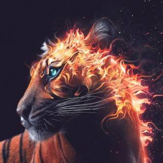 Fire tiger wallpaper
