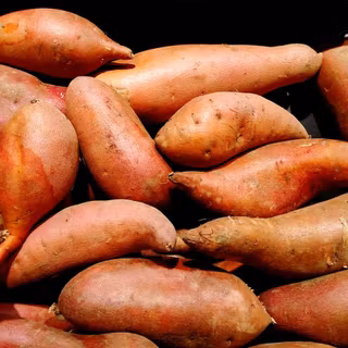 Christmas sweet potato wallpaper