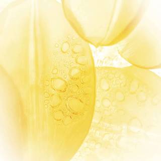 Huawei nova 3 wallpaper