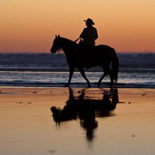 Horses at sunset wallpaper