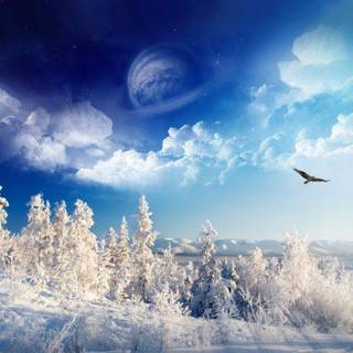 Solsticio de invierno wallpaper