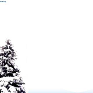 Christmas tradition wallpaper