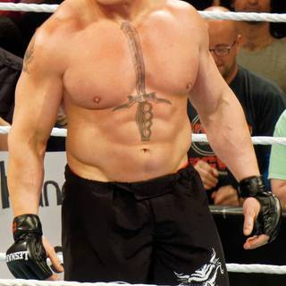 Beast Brock Lesnar WWE phone wallpaper