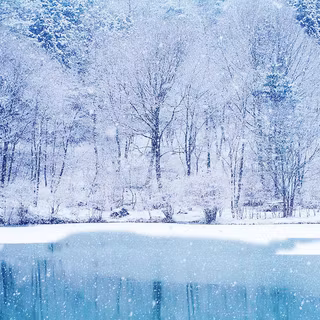 Christmas winter wallpaper