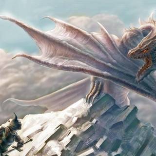 White dragons wallpaper