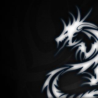 White dragons wallpaper