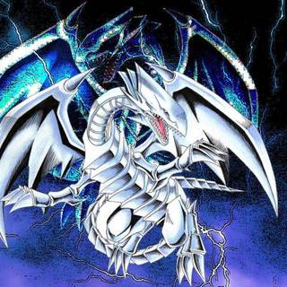 White dragons wallpaper