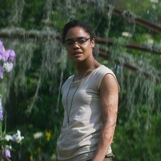 Annihilation Netflix wallpaper