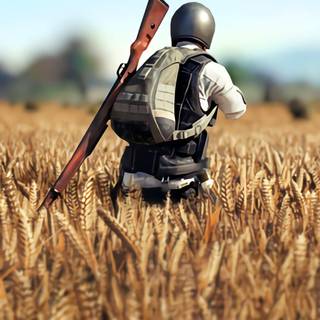 Chicken dinner wallpaper