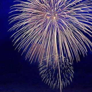 New Year firecracker wallpaper