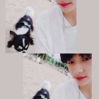 Hyunjin wallpaper