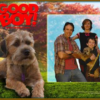 Good boy wallpaper