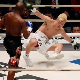 Floyd Mayweather and Tenshin Nasukawa wallpaper