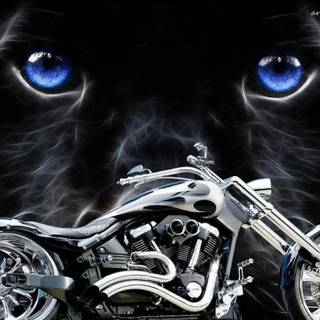 Custom bike wallpaper