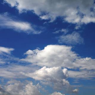 Office 365 wallpaper