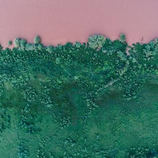 Green aesthetics wallpaper