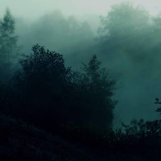 Green aesthetics wallpaper