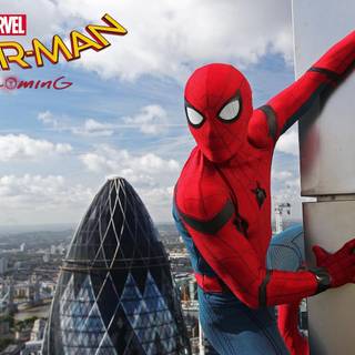 Marvel Spider-Man wallpaper