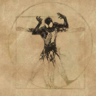 Marvel Spider-Man wallpaper