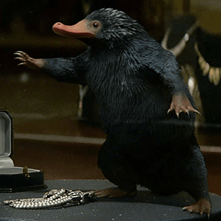 Niffler wallpaper