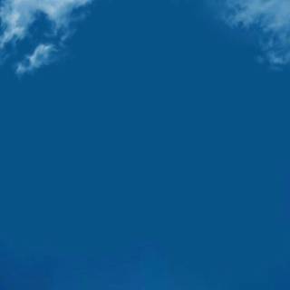 Winner K Pop wallpaper