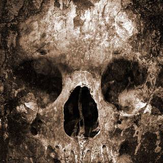 Skull wallpaper Android