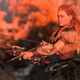 Aloy wallpaper