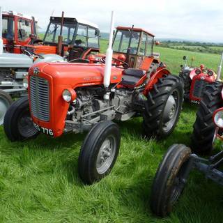 Massey Ferguson 35, 65 and 135 wallpaper