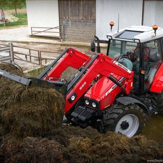 Massey Ferguson 35, 65 and 135 wallpaper