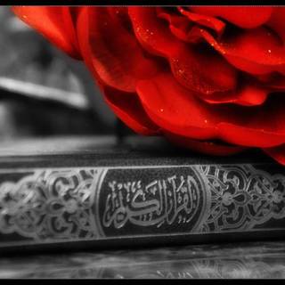 Kuran wallpaper