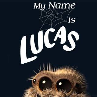 Lucas the Spider wallpaper